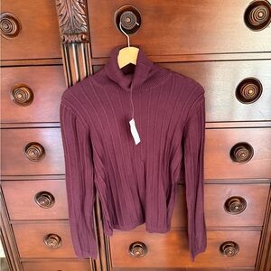 Ann Taylor Burgundy Ribbed Sweater